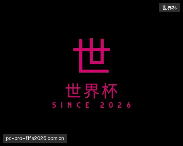 了解世界杯公司